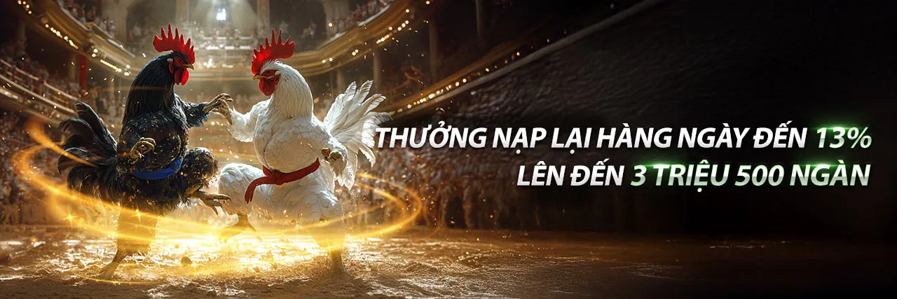 Hình ảnh sân vận động và các môn thể thao tại nw88 nhà cái